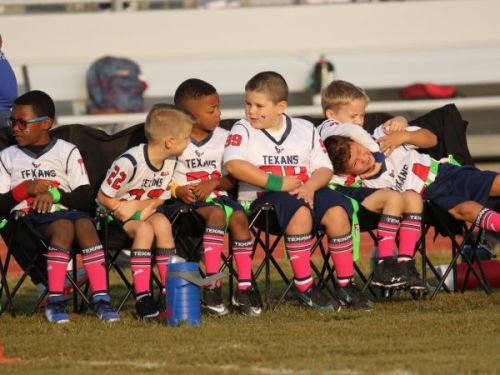 flag hoco2 36 600 450 c